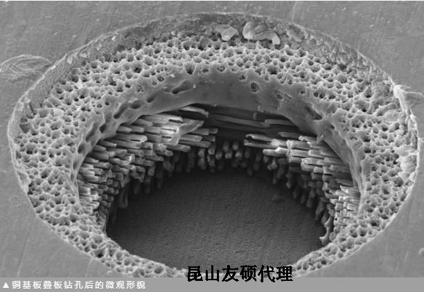 巴南蔡司巴南扫描电镜